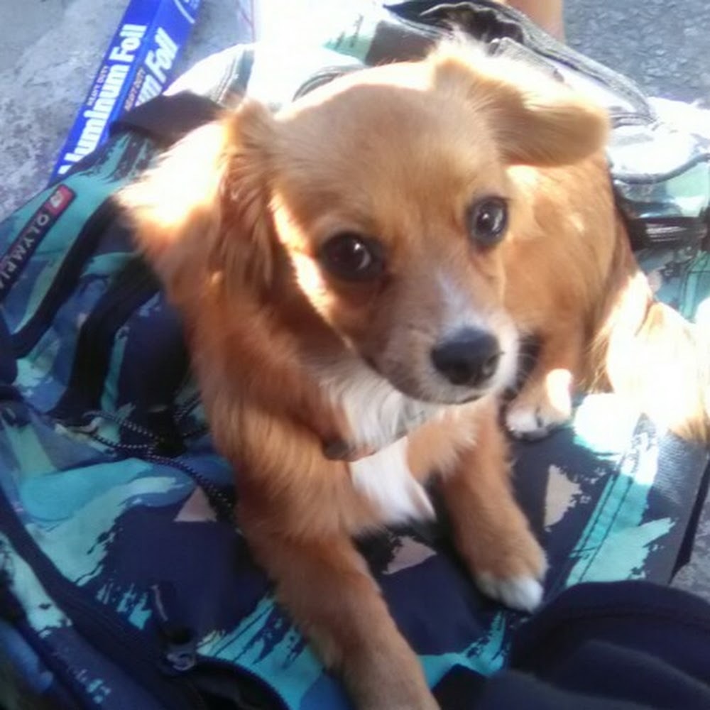 Meet your Posher, Mrs.